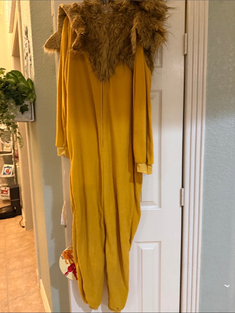 Wizard of Oz Lion Costume